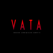 Avatar for vatamusic