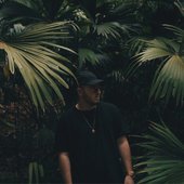 🌴