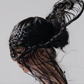 Avatar de Björk