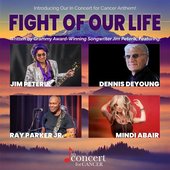 Fight of Our Life (feat. Dennis DeYoung, Ray Parker Jr. & Mindi Abair) - Single