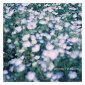 in bloom - Single