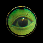 Avatar de PestxControl