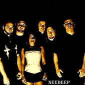 Needeep