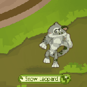 Snow leopard gif