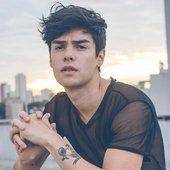 vini