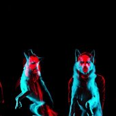 Wolves