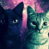 Avatar for Rastacats35