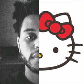 Avatar for vannalolz_