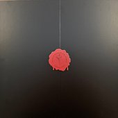 25 Year Collector's Edition Custom Box Set