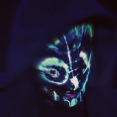 ⅄ L L Y pfp