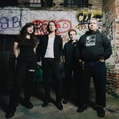 The Snares.jpg