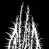Cavum black metal