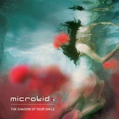 The Shadow Of Your Smile