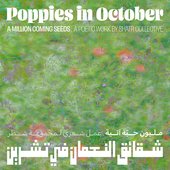 Poppies in October