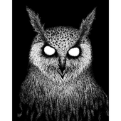 Stubu- 的头像