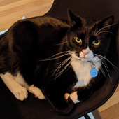 Avatar für mphilden