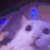 Avatar di aleikz