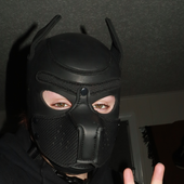 Avatar for woofgrrrbark
