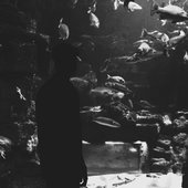 0adf0d7d6a974e4cd908fbc650f14ac8.jpg