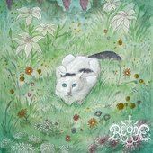 A Little Cat In A Big World