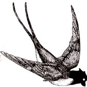 cocore