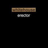 Erector.jpg