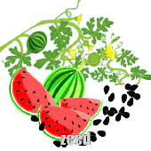 zeedBLOOMrepEAT 的头像