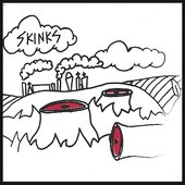 Skinks