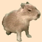 NikoZec 的头像