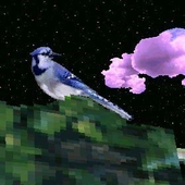 Avatar for wwwwwwwwxwwwwww