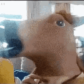 Avatar for ConsoleHorse