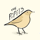 the pipits logo
