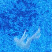 Everybody's Falling