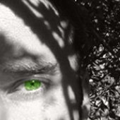 Website Header Image