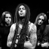 Shadows Fall