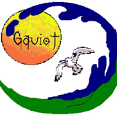 Avatar de gaviot7