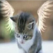 Avatar de aarnavxd