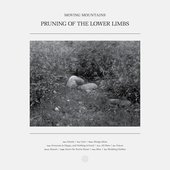 Pruning Of The Lower Limbs