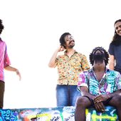 boogarins.jpg