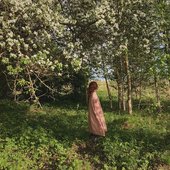 Six laments before silence