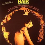 The 31 Flavors Hair.jpg