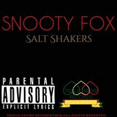 Salt Shakers 