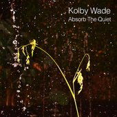 Absorb The Quiet