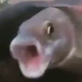 DimebagDio666 的头像