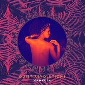 Quiet Revolutions
