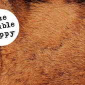 Taxidermy
