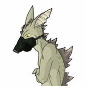 Sigma.jpg