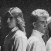 II Shy (Swe)