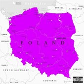 I SUCKED HIS COCK TO POLAND