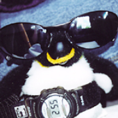 teh_penguin için avatar